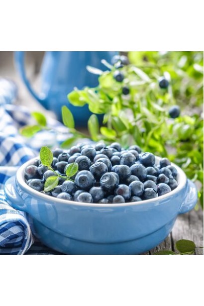 лохина пізня Елізабет